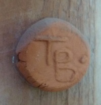 TB Button